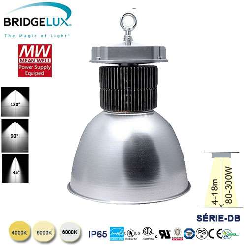 Priemyselná LED lampa DB250W